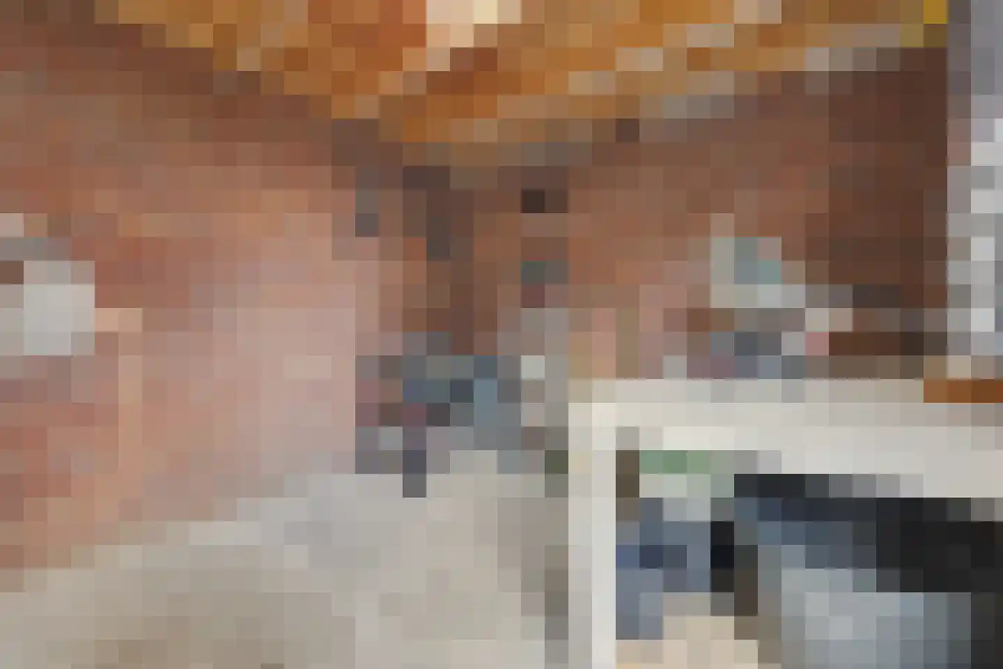 Lijsterstraat 31 Winterswijk thumbnail 39