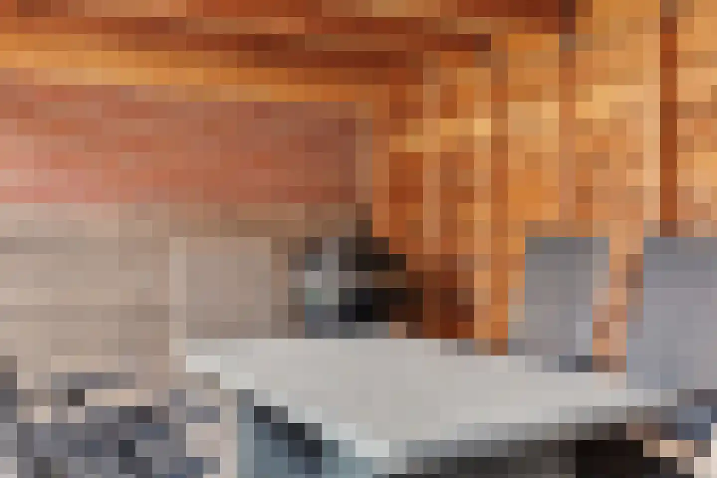 Lijsterstraat 31 Winterswijk thumbnail 41