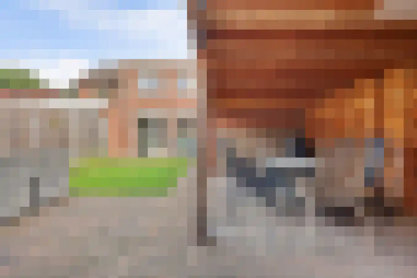 Lijsterstraat 31 Winterswijk thumbnail 47