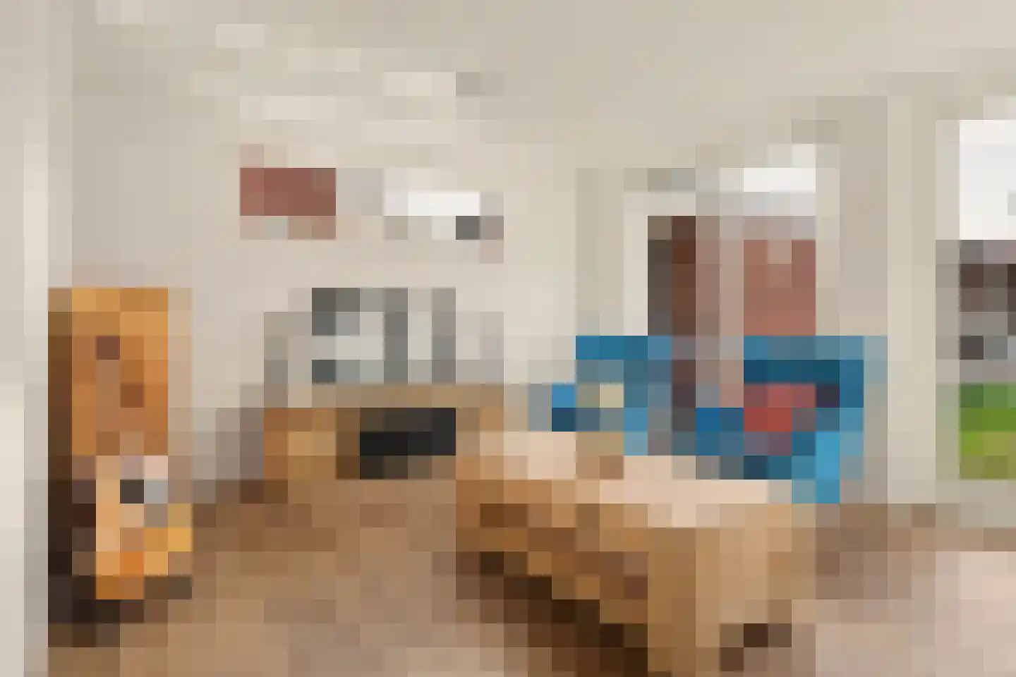 Lijsterstraat 31 Winterswijk thumbnail 8