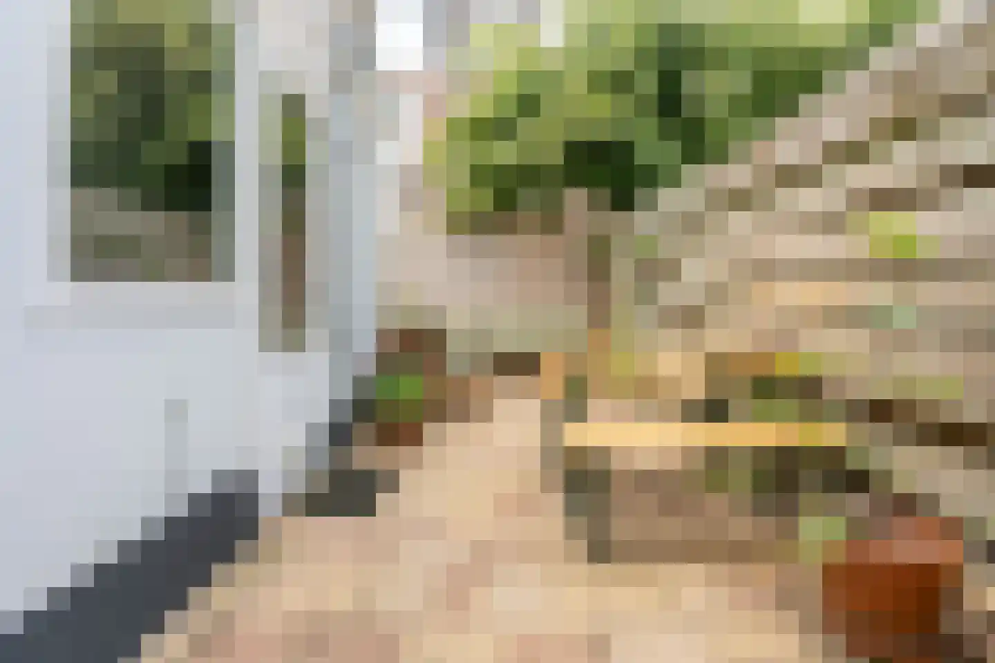 Lijsterstraat 36 Utrecht thumbnail 20