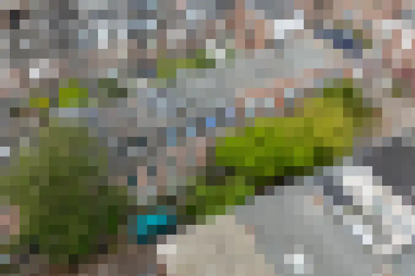 Lijsterstraat 36 Utrecht thumbnail 55