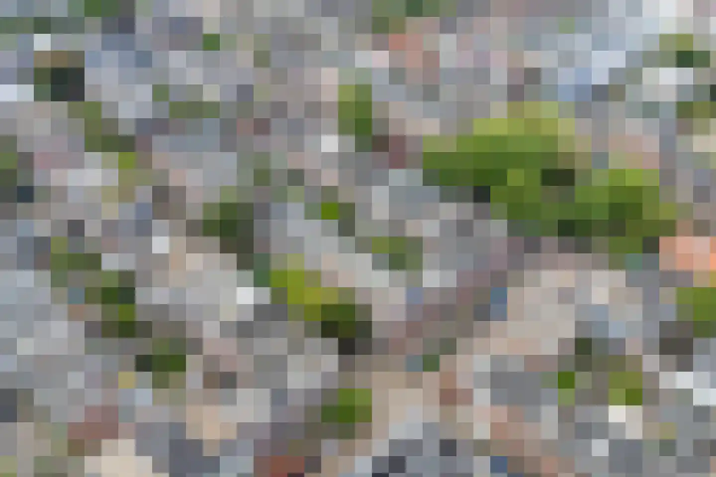 Lijsterstraat 36 Utrecht thumbnail 56