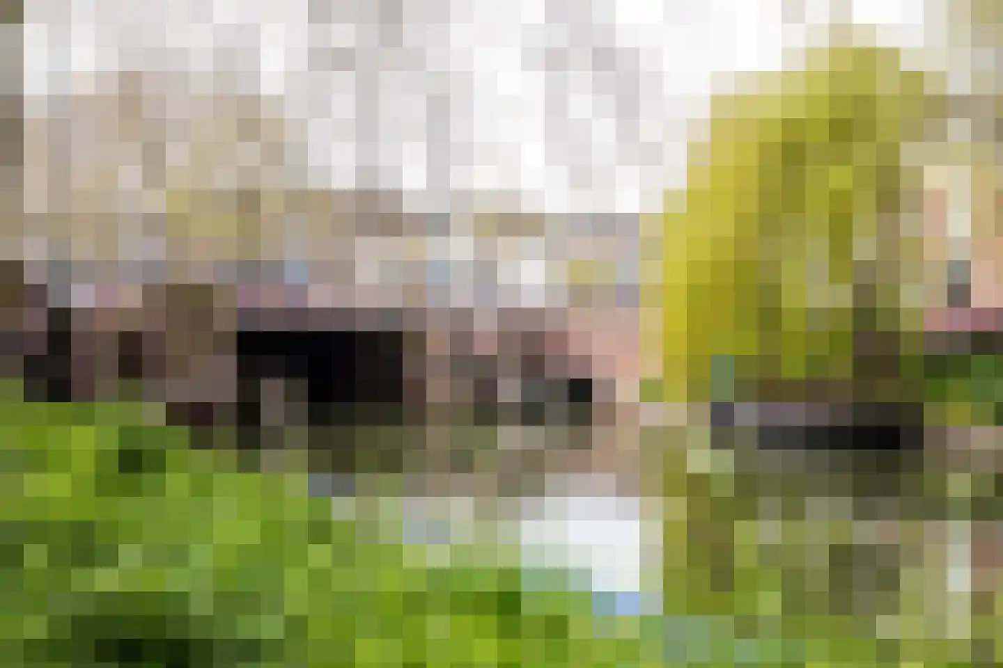 Lijsterstraat 36 Utrecht thumbnail 64