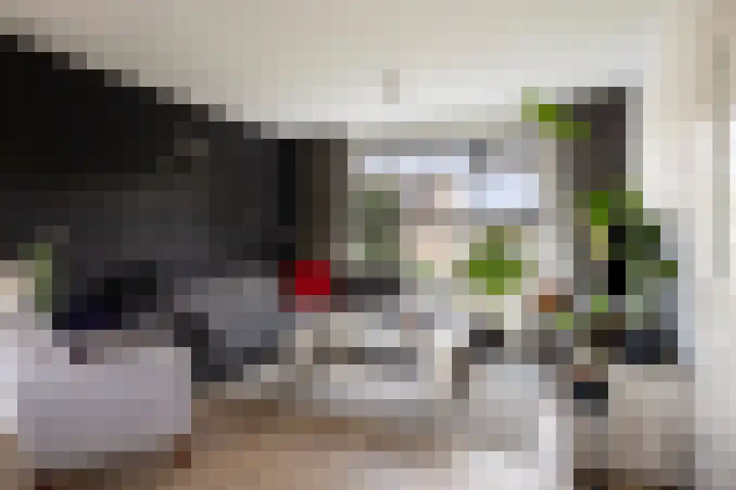 Lijsterstraat 37 Dedemsvaart thumbnail 10