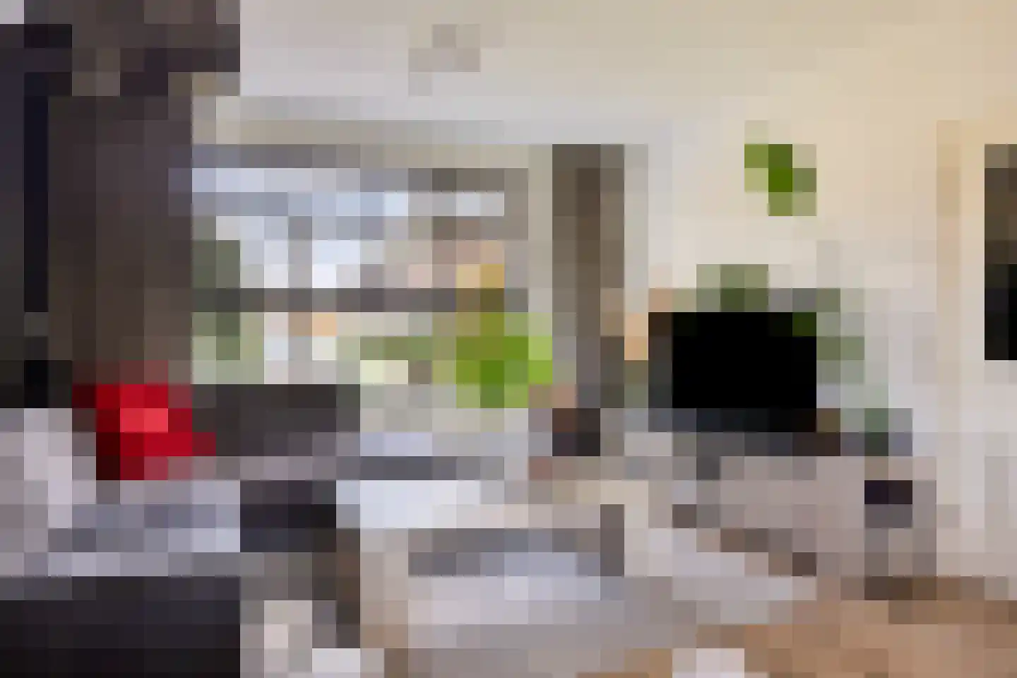 Lijsterstraat 37 Dedemsvaart thumbnail 11