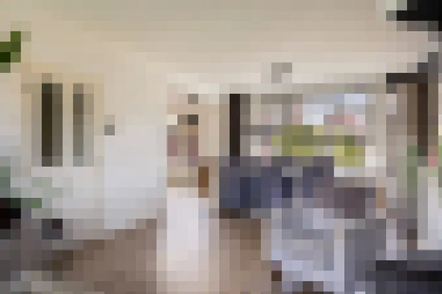 Lijsterstraat 37 Dedemsvaart thumbnail 12