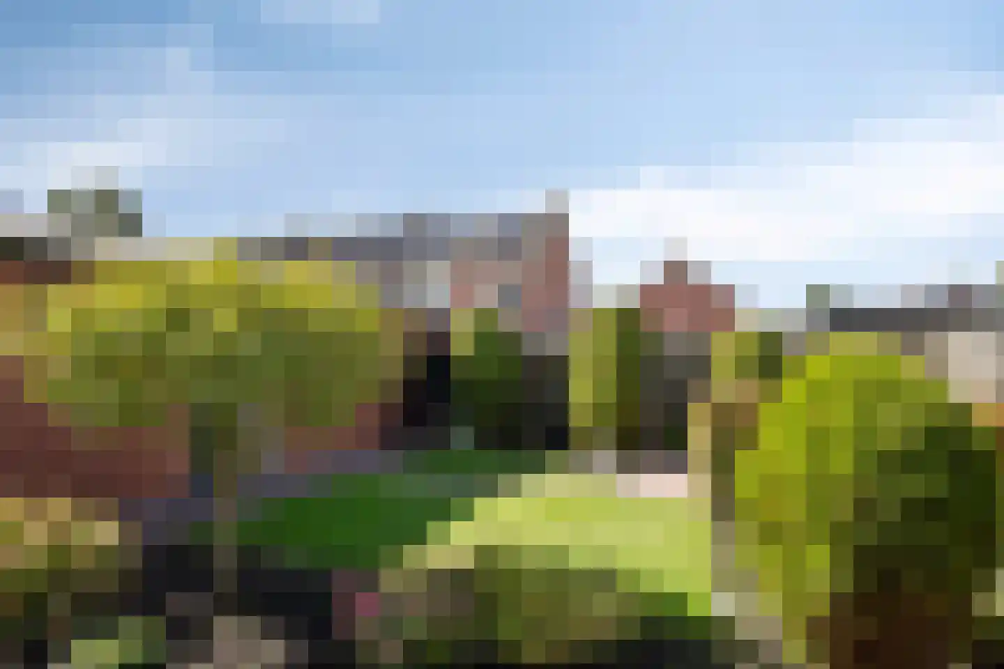 Lijsterstraat 37 Dedemsvaart thumbnail 27