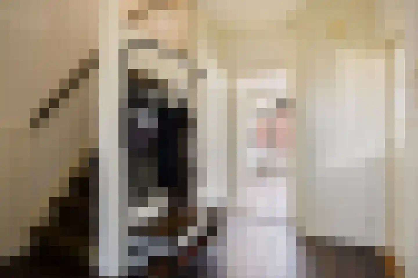 Lijsterstraat 37 Dedemsvaart thumbnail 7