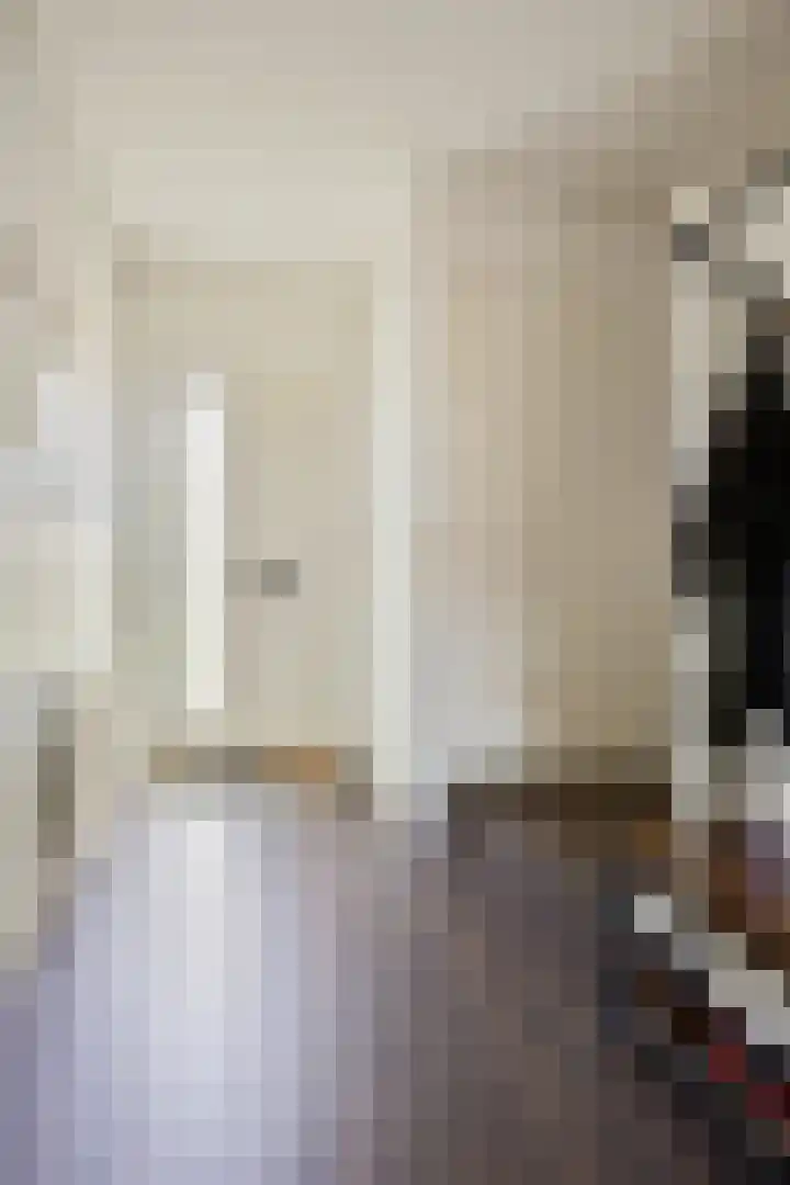 Lijsterstraat 37 Dedemsvaart thumbnail 8
