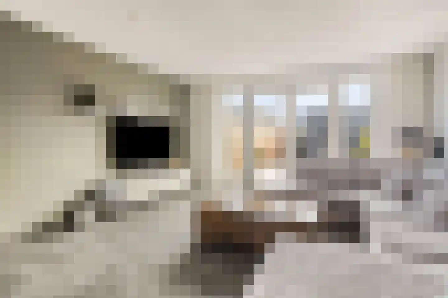 Lijsterstraat 4 Heerhugowaard thumbnail 10