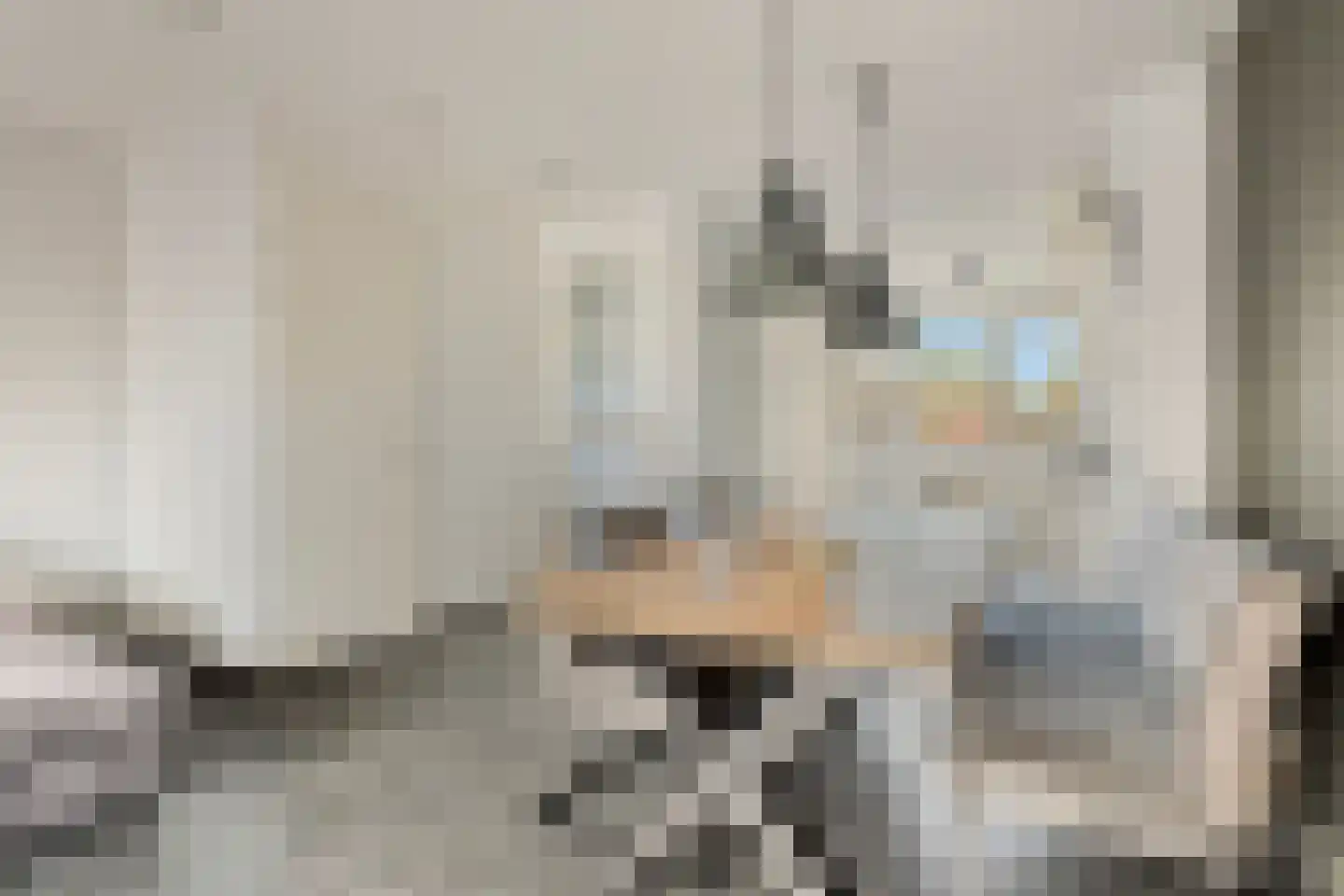Lijsterstraat 4 Heerhugowaard thumbnail 12