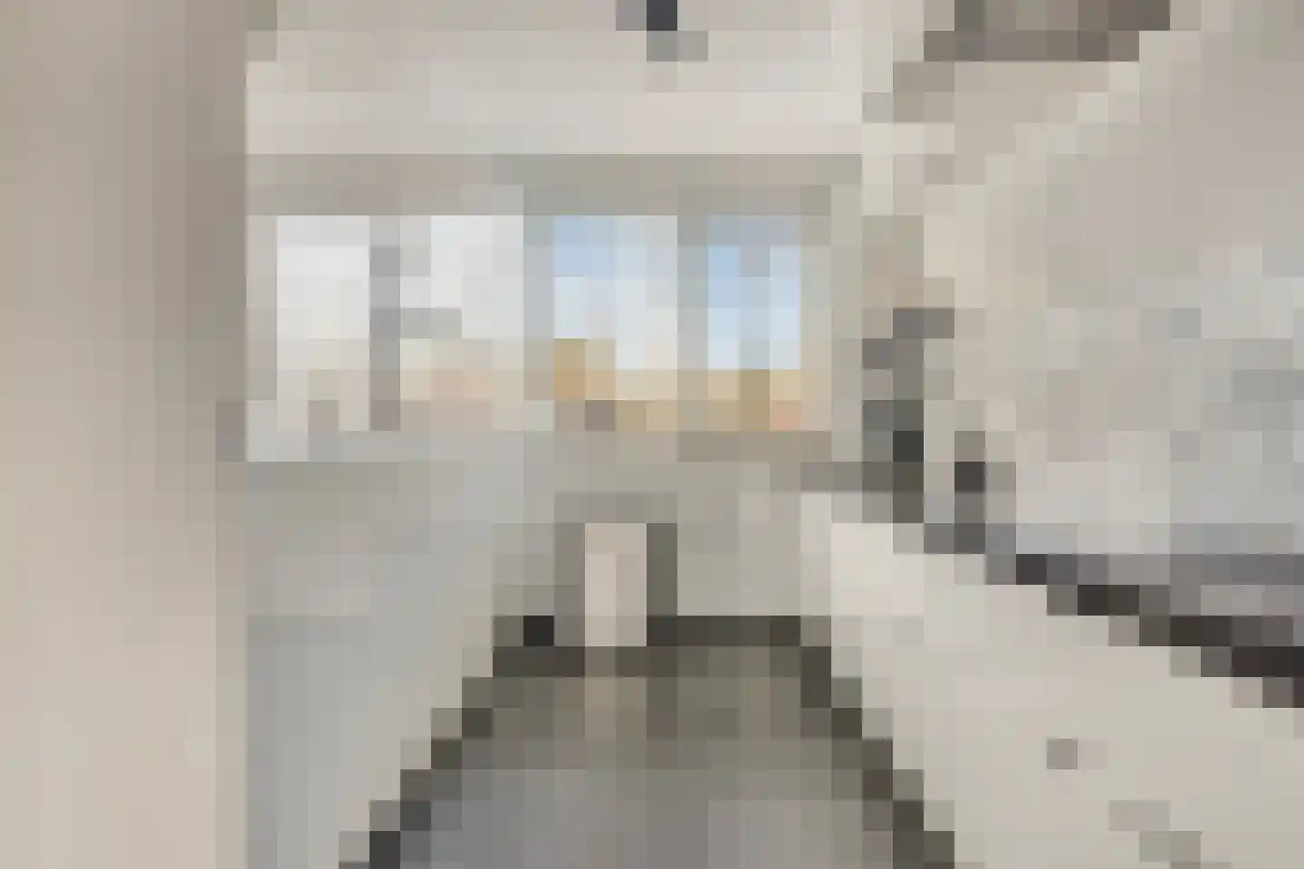 Lijsterstraat 4 Heerhugowaard thumbnail 17