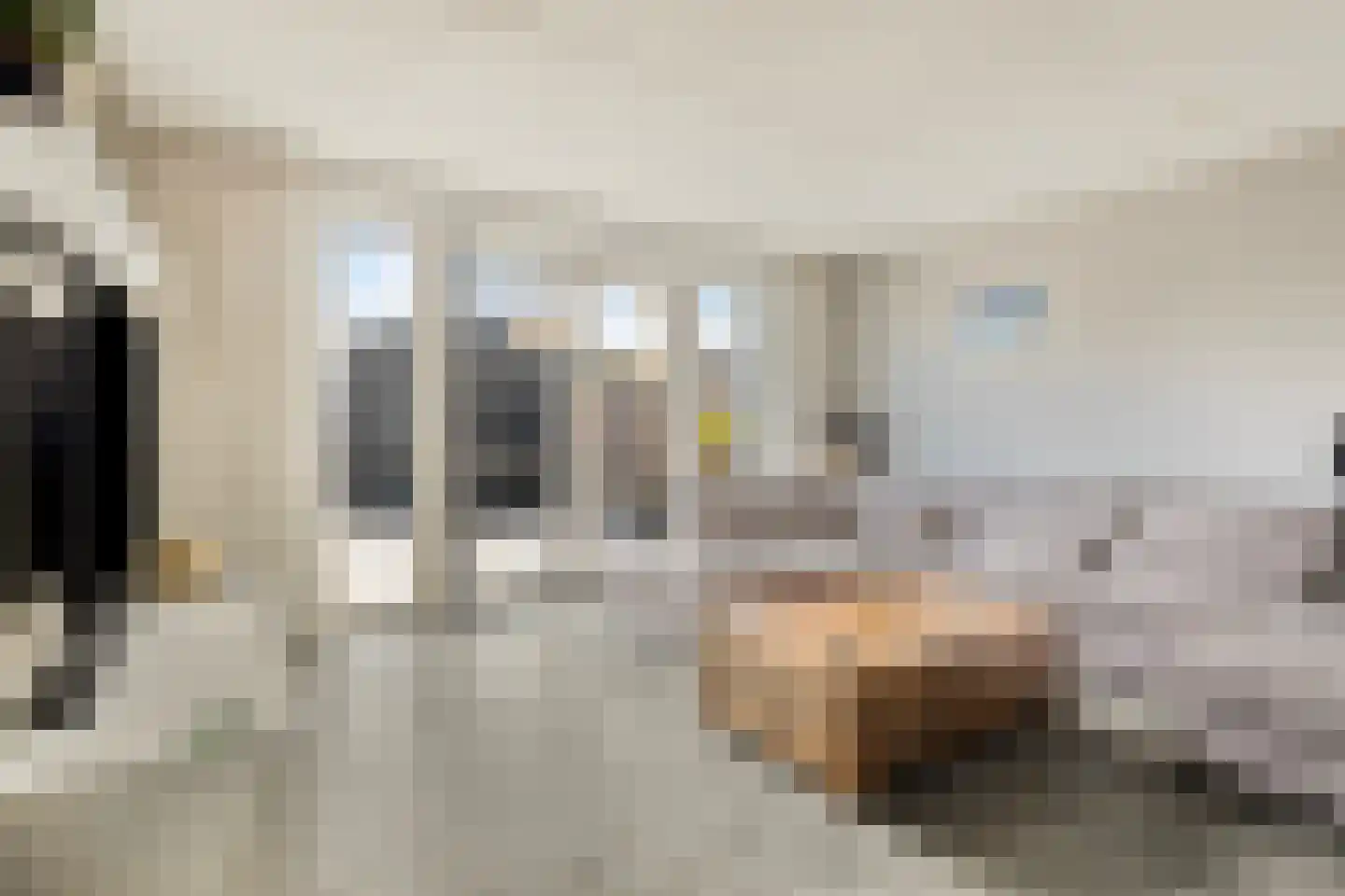 Lijsterstraat 4 Heerhugowaard thumbnail 9