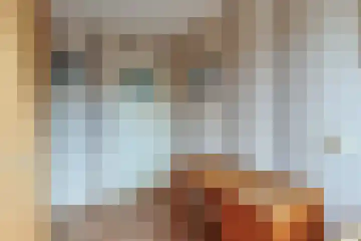 Lijsterstraat 4 Woerdense Verlaat thumbnail 20