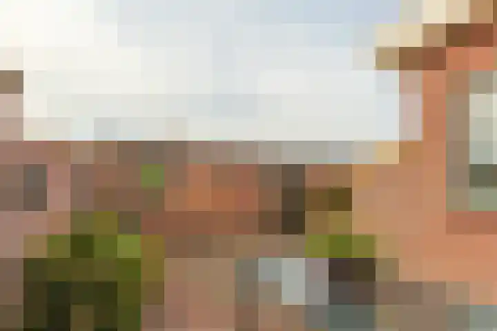 Lijsterstraat 4 Woerdense Verlaat thumbnail 39