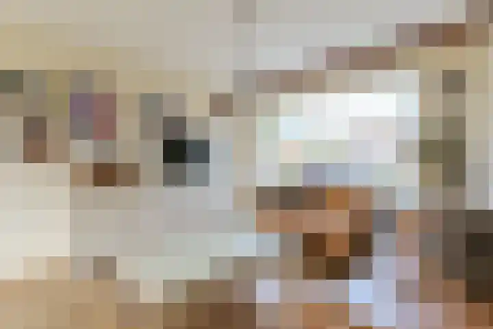 Lijsterstraat 4 Woerdense Verlaat thumbnail 9