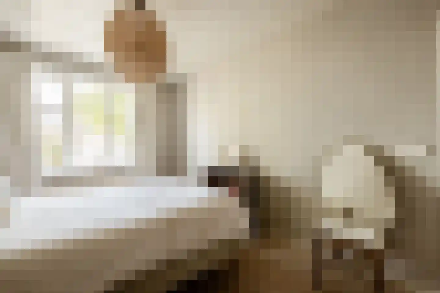 Lijsterstraat 40 Haarlem thumbnail 31