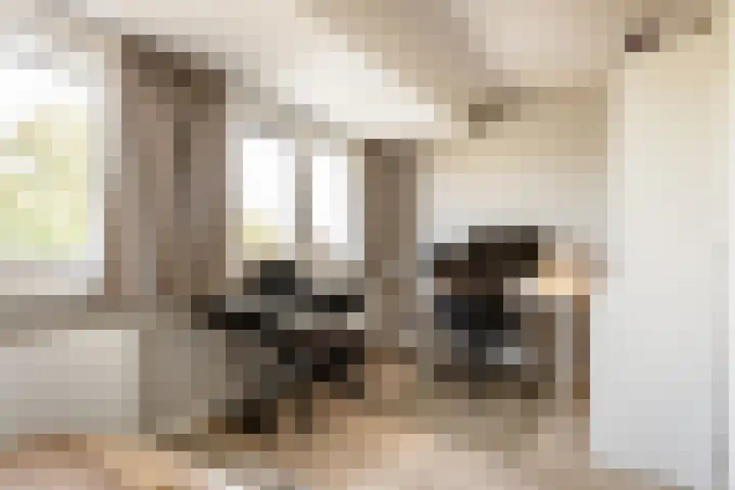 Lijsterstraat 40 Haarlem thumbnail 51