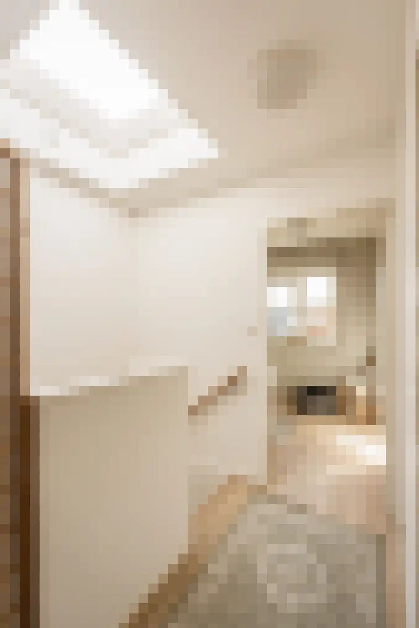 Lijsterstraat 40 Haarlem thumbnail 52