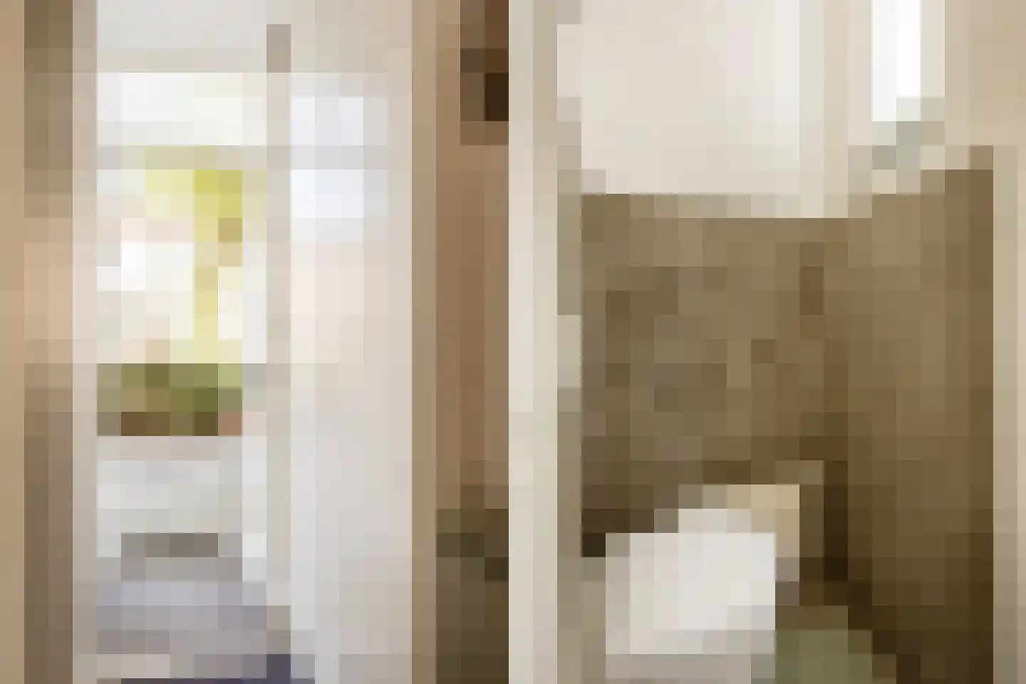Lijsterstraat 40 Haarlem thumbnail 58