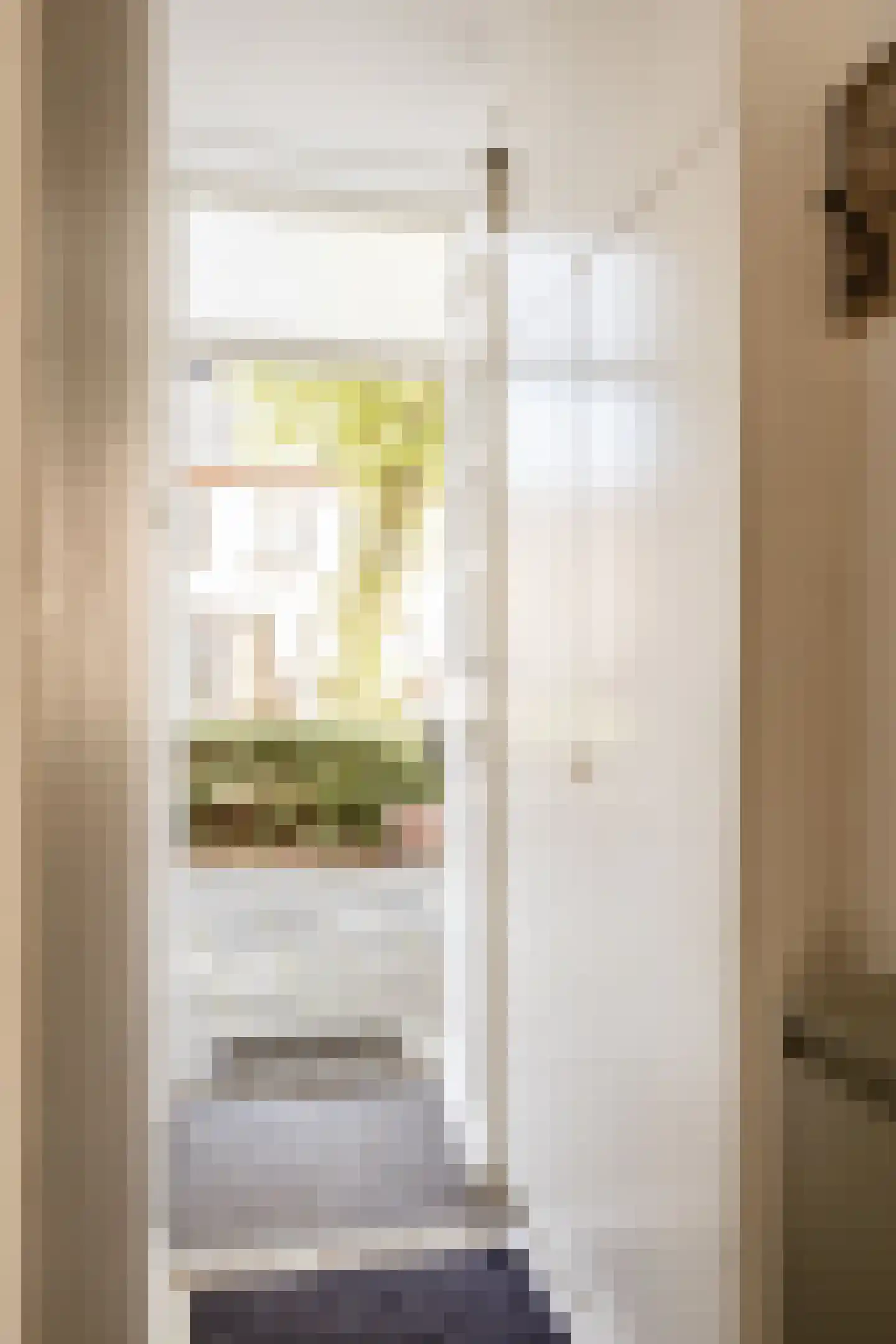 Lijsterstraat 40 Haarlem thumbnail 9