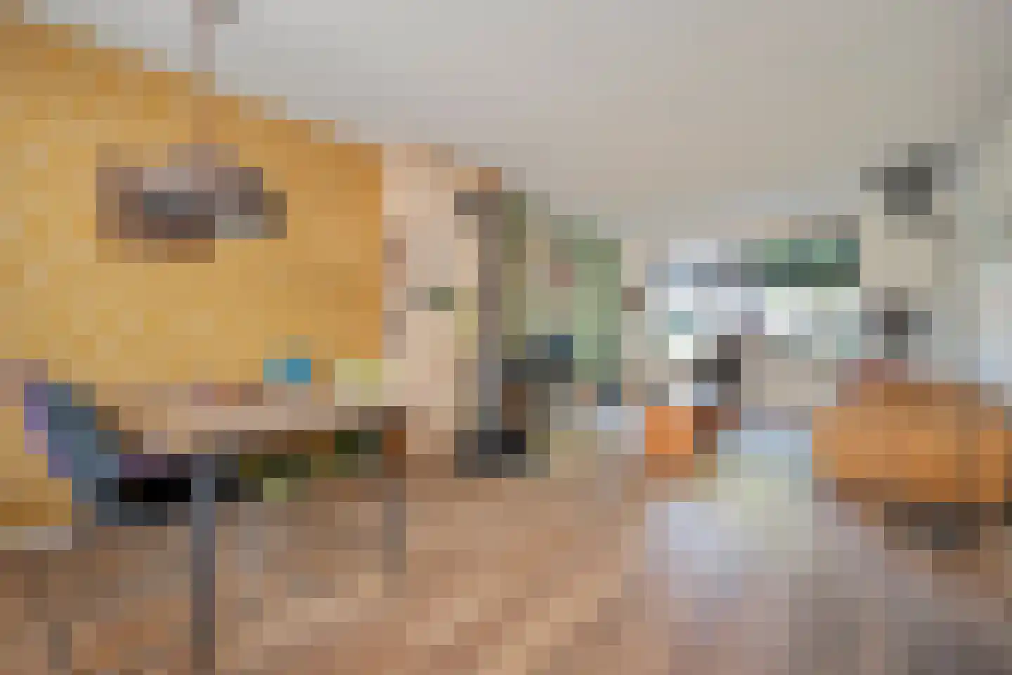 Lijsterstraat 41 Dedemsvaart thumbnail 10