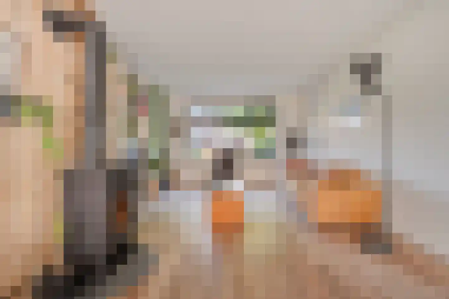 Lijsterstraat 41 Dedemsvaart thumbnail 12