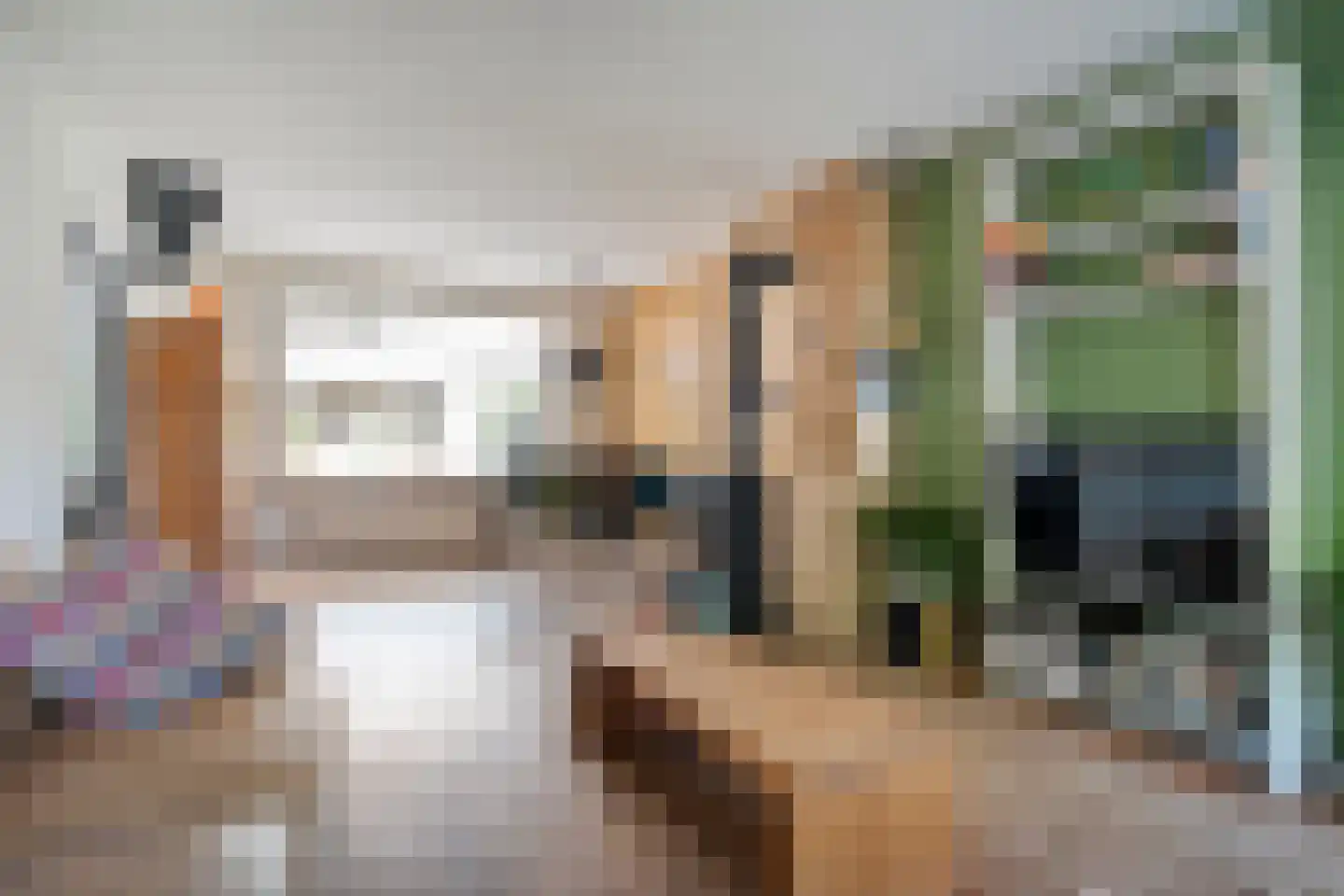 Lijsterstraat 41 Dedemsvaart thumbnail 14