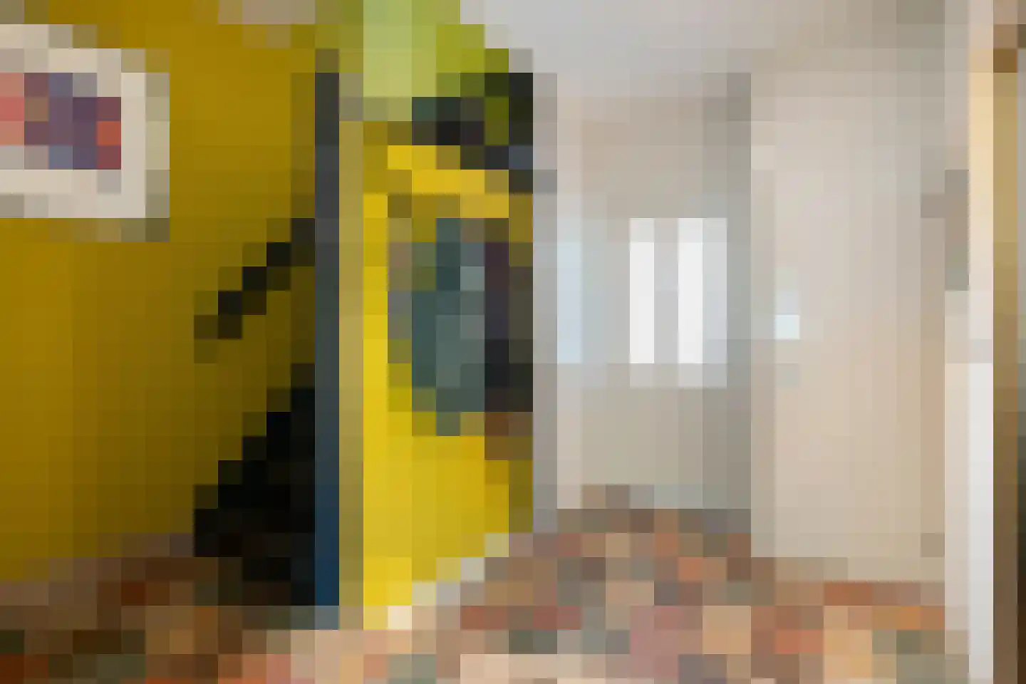 Lijsterstraat 41 Dedemsvaart thumbnail 16