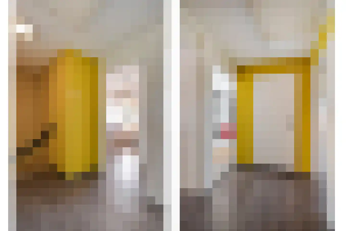 Lijsterstraat 41 Dedemsvaart thumbnail 17