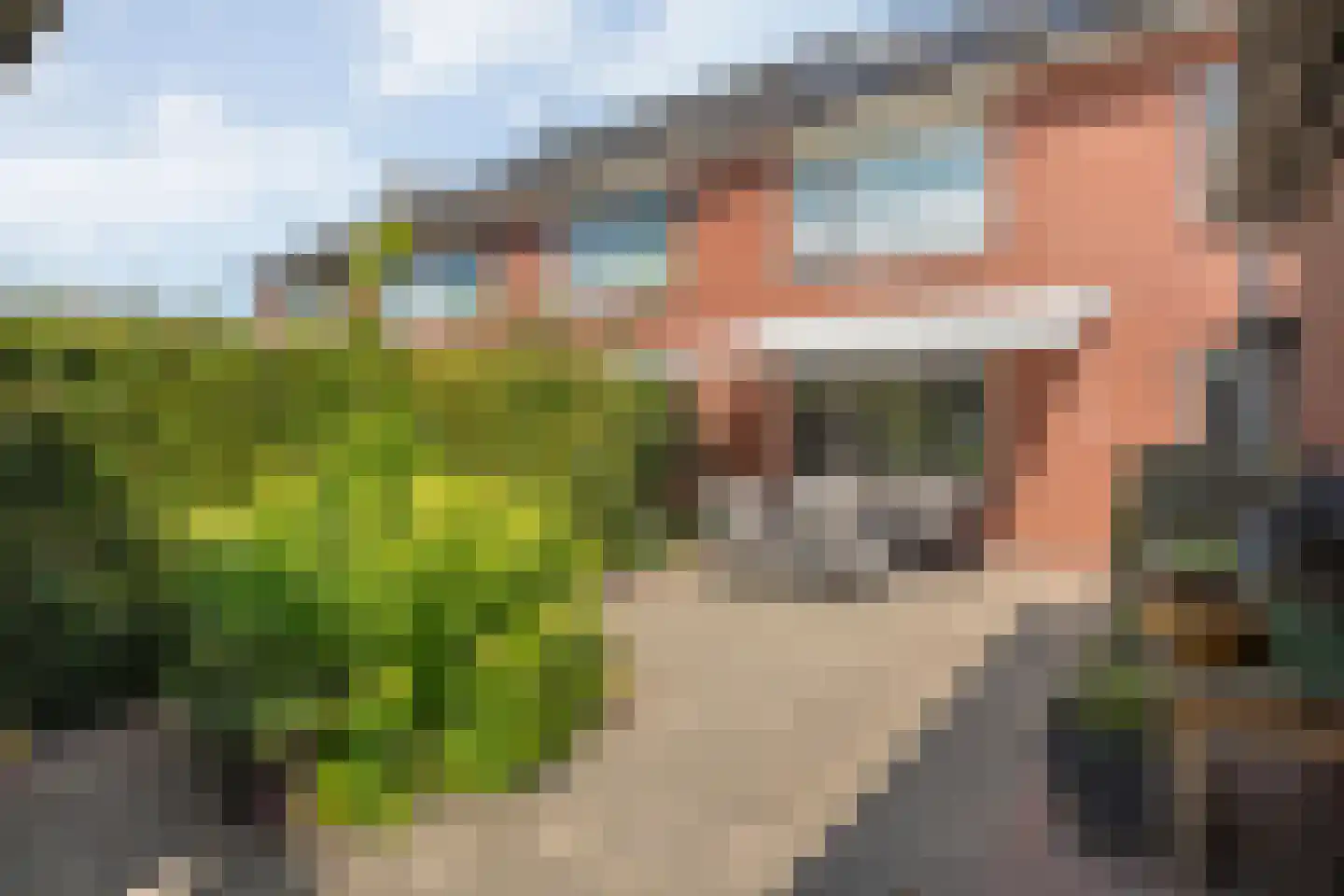 Lijsterstraat 41 Dedemsvaart thumbnail 30
