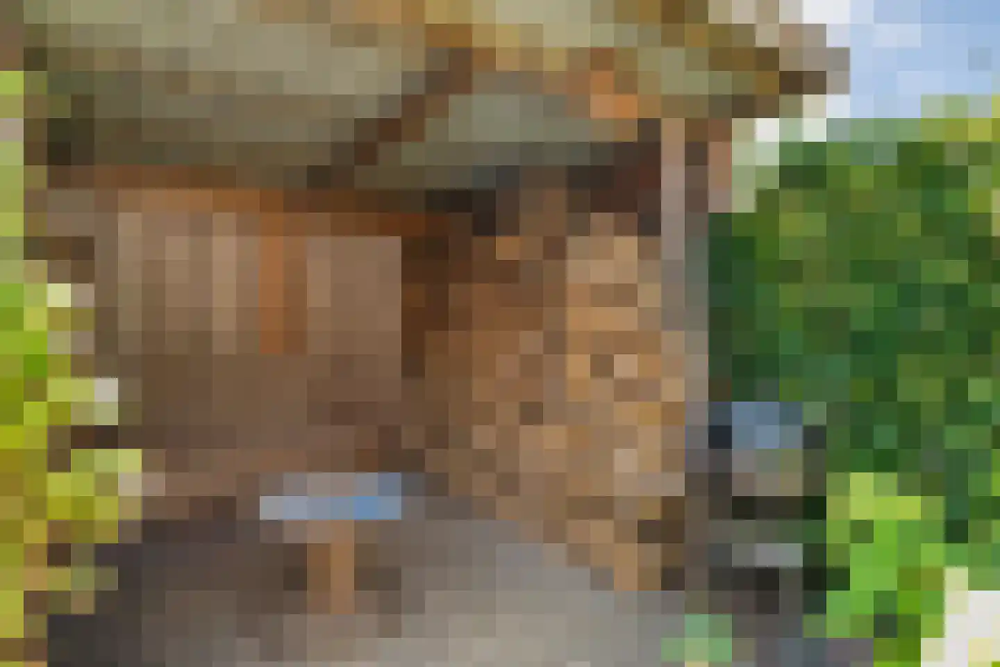 Lijsterstraat 41 Dedemsvaart thumbnail 31