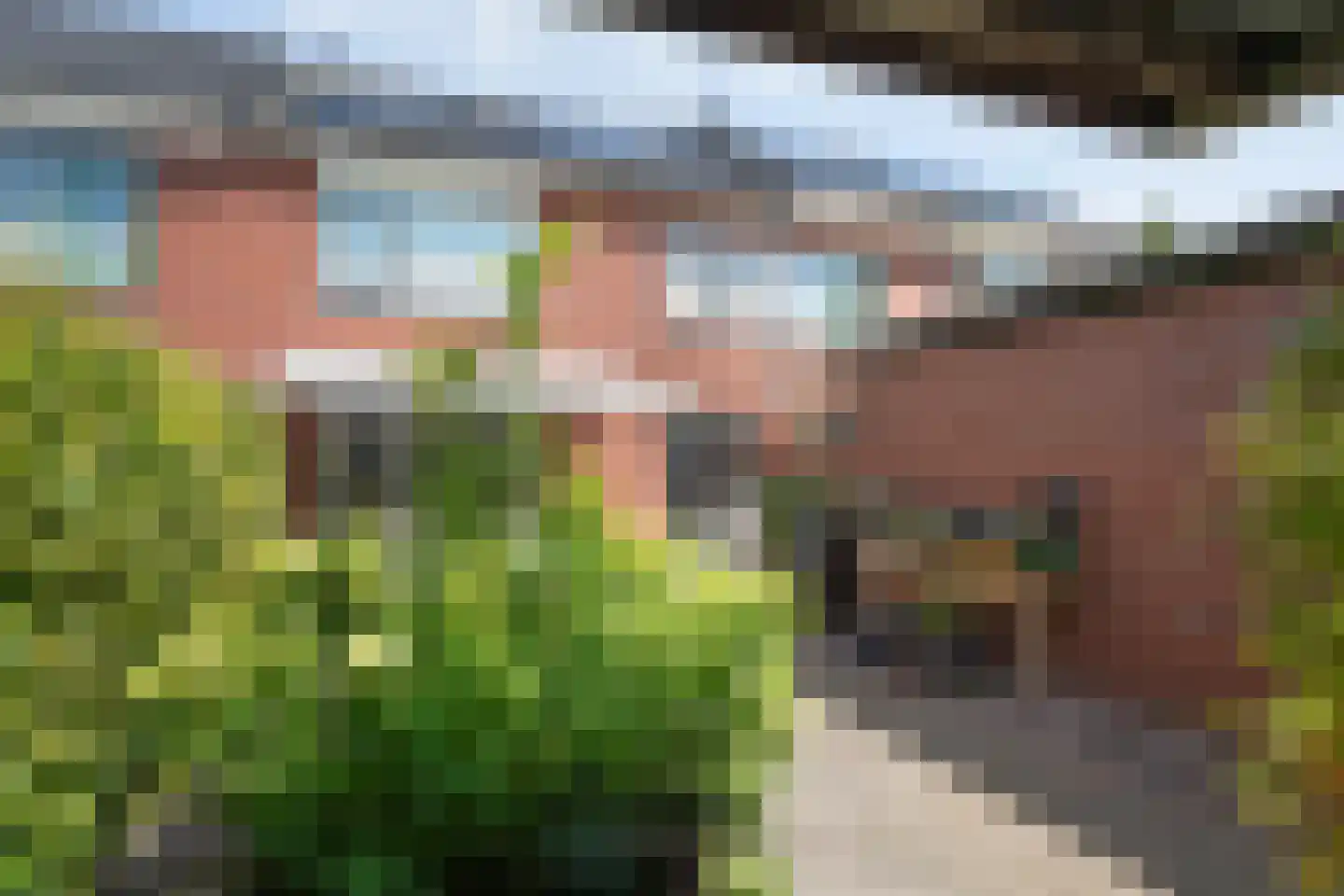 Lijsterstraat 41 Dedemsvaart thumbnail 32