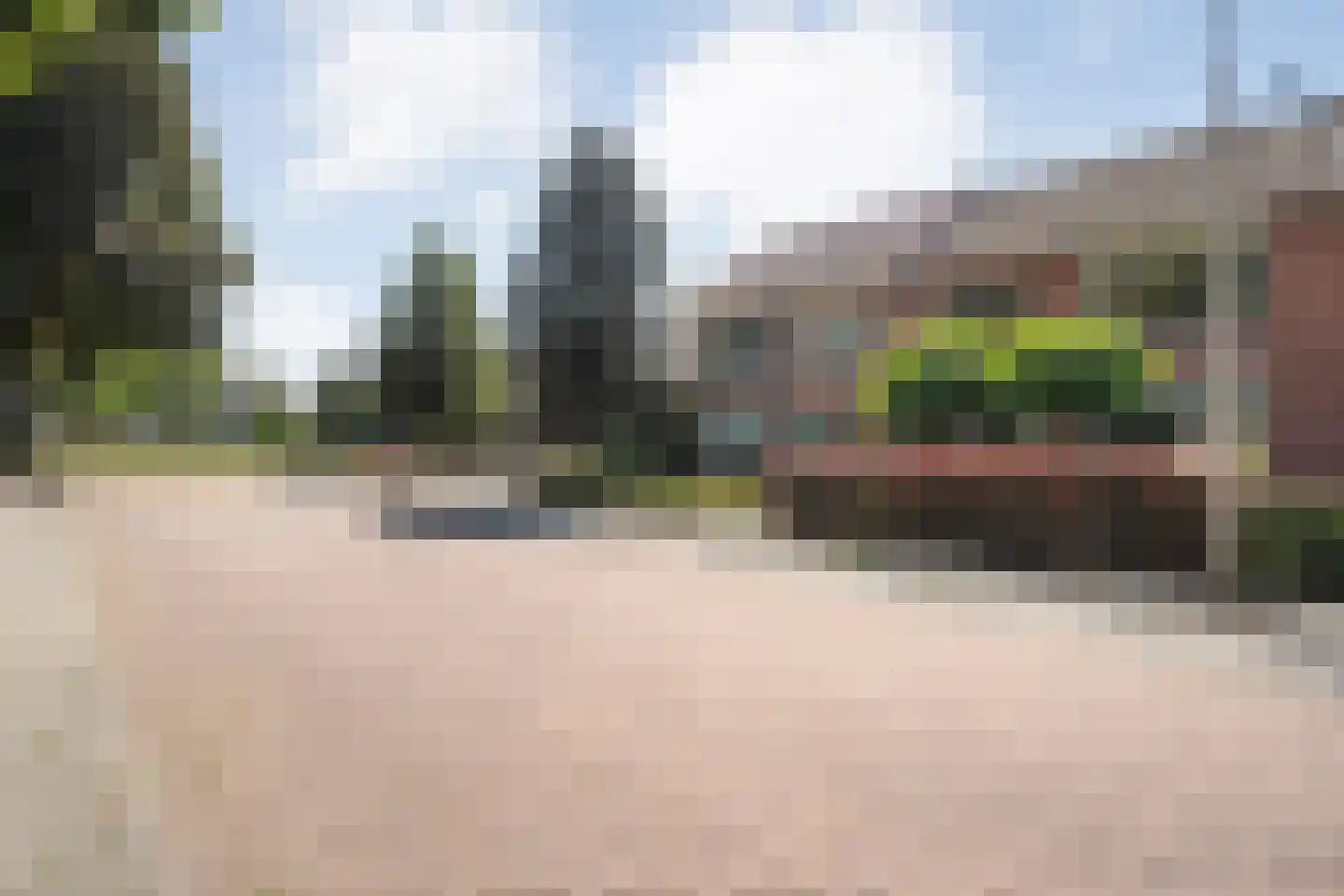 Lijsterstraat 41 Dedemsvaart thumbnail 35