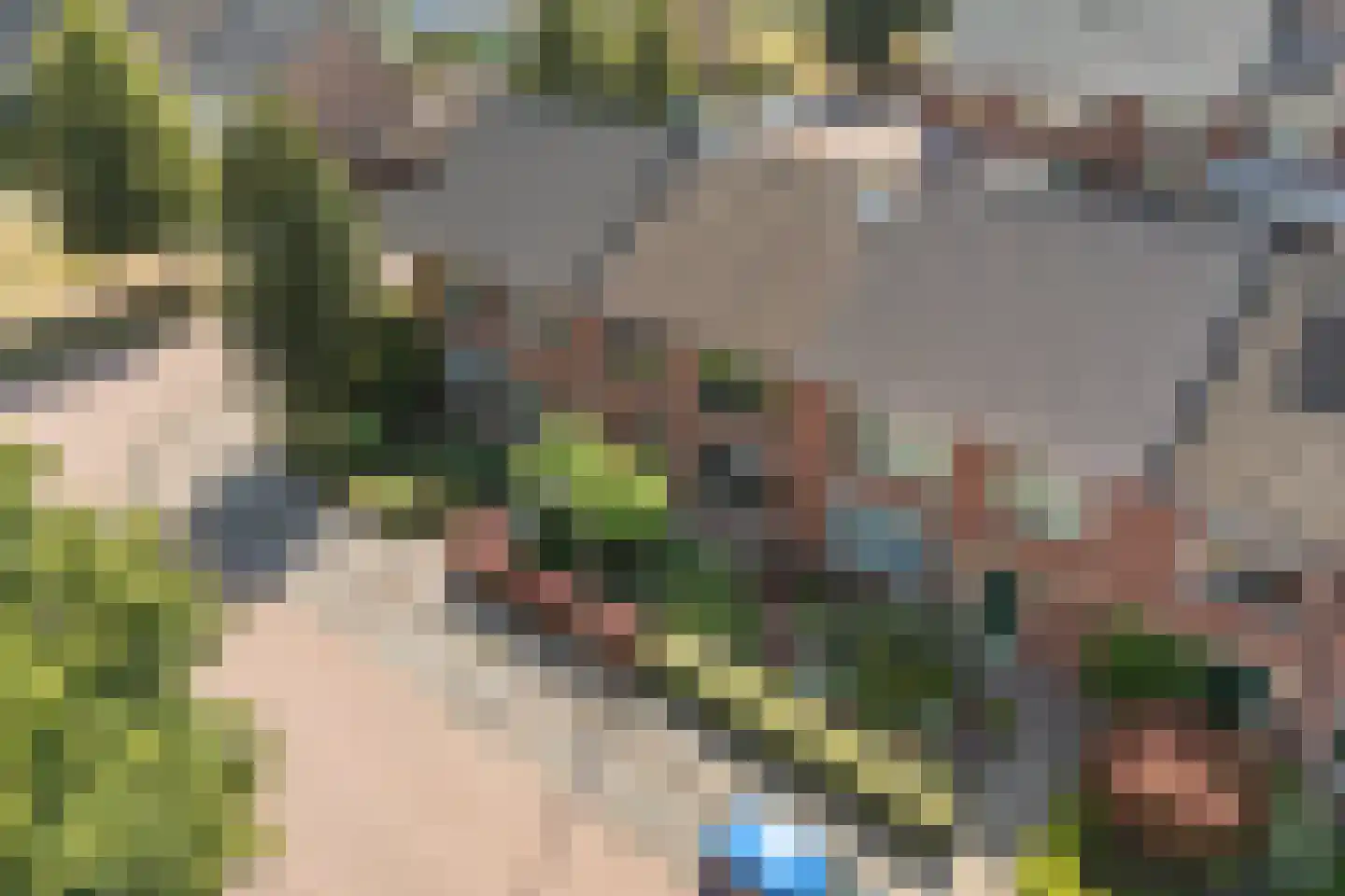 Lijsterstraat 41 Dedemsvaart thumbnail 4