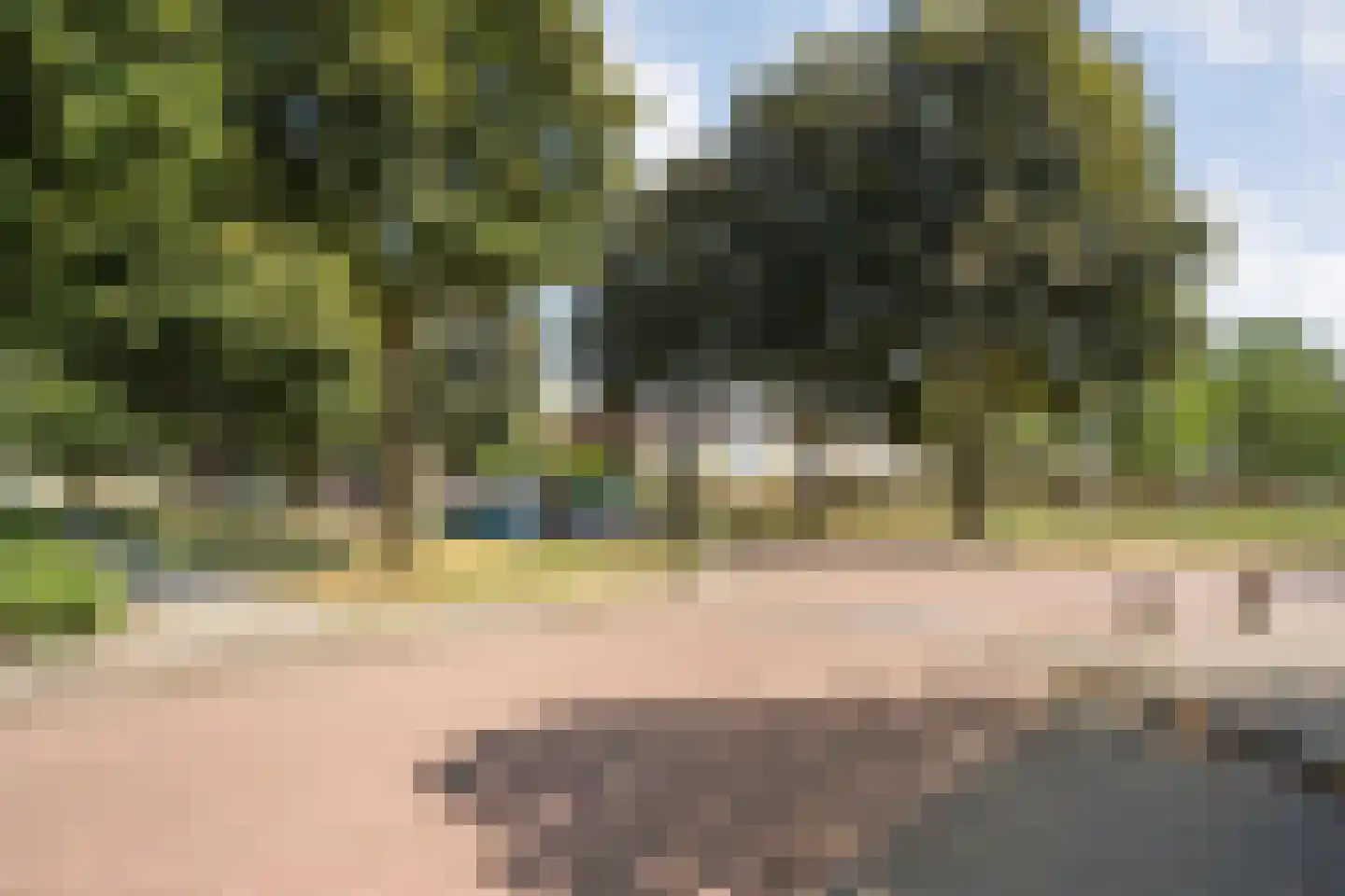 Lijsterstraat 41 Dedemsvaart thumbnail 5