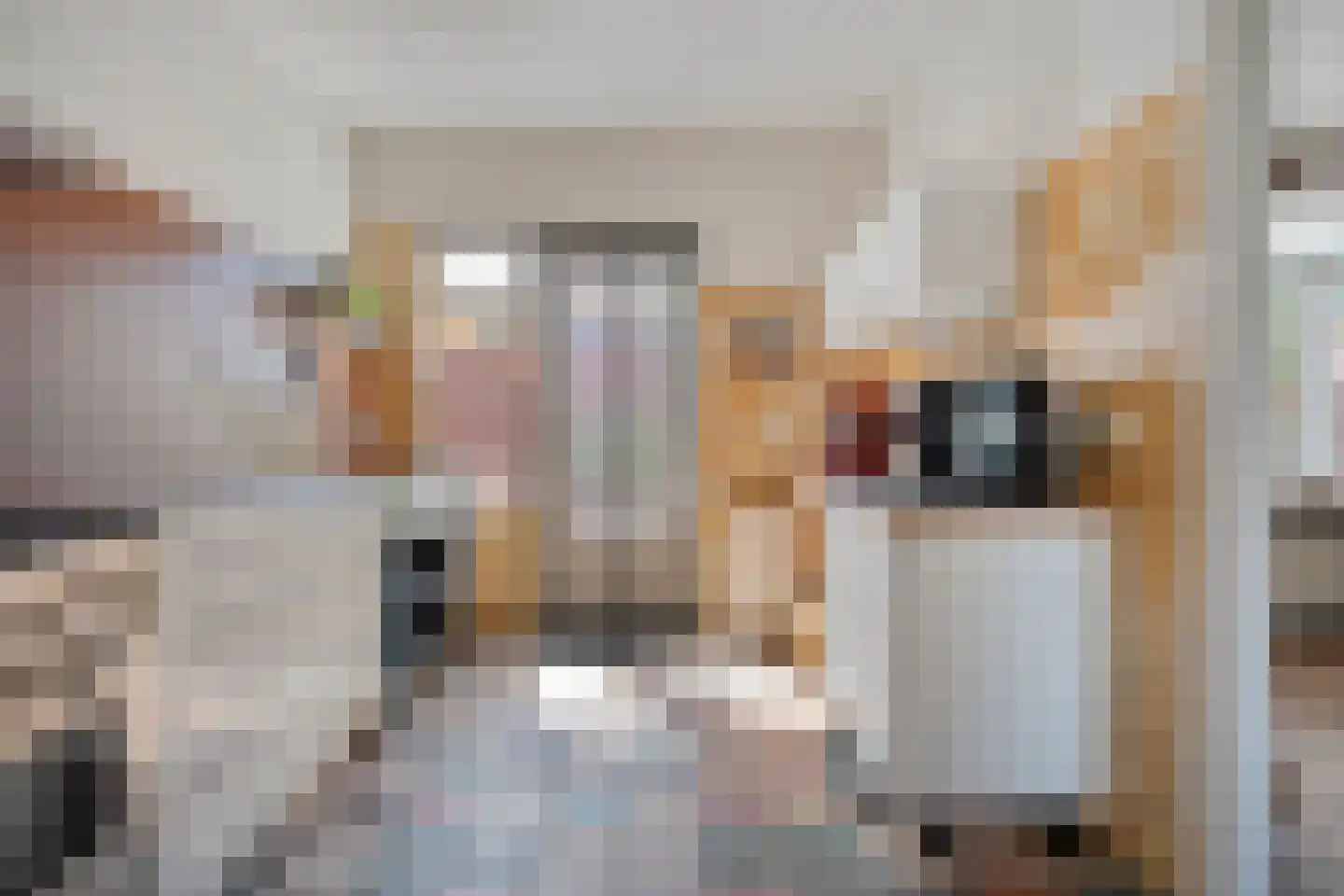 Lijsterstraat 41 Dedemsvaart thumbnail 8