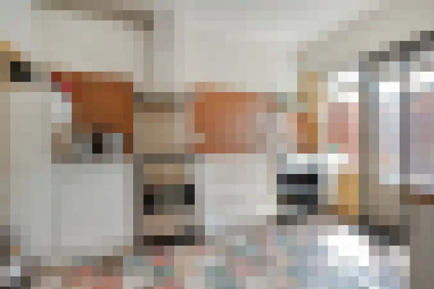 Lijsterstraat 41 Dedemsvaart thumbnail 9