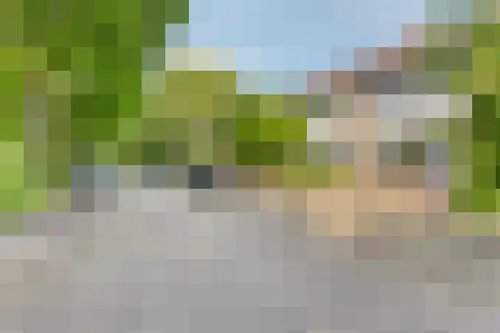 Lijsterstraat 42 Vaassen thumbnail 25