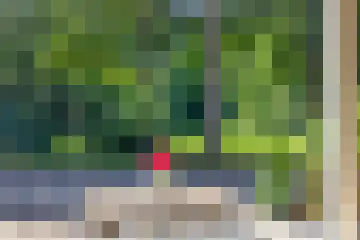 Lijsterstraat 42 Vaassen thumbnail 4
