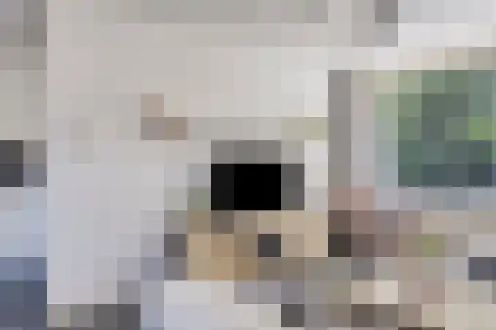 Lijsterstraat 42 Vaassen thumbnail 5