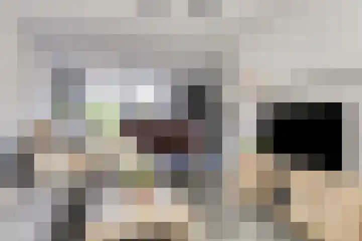 Lijsterstraat 42 Vaassen thumbnail 6