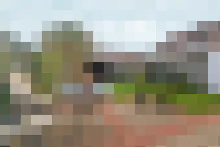 Lijsterstraat 43 Gennep thumbnail 20