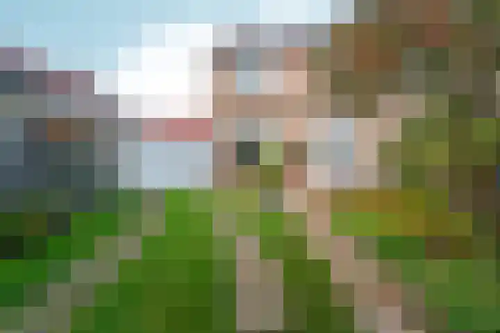 Lijsterstraat 43 Gennep thumbnail 4