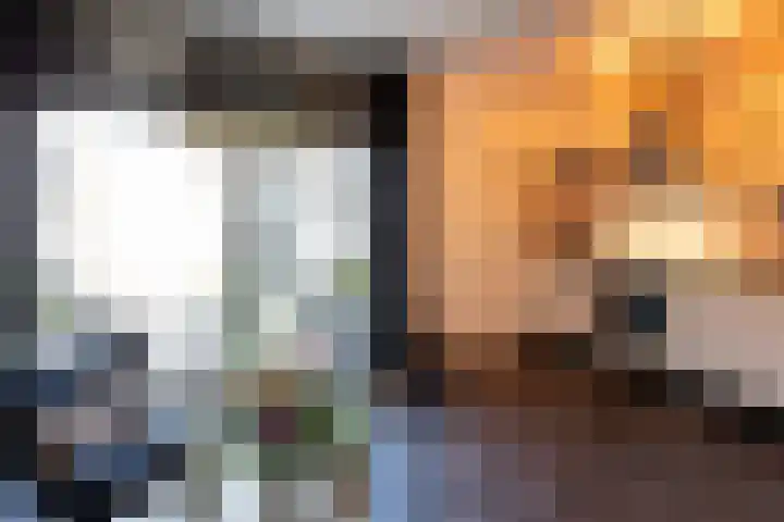 Lijsterstraat 43 Neede thumbnail 10