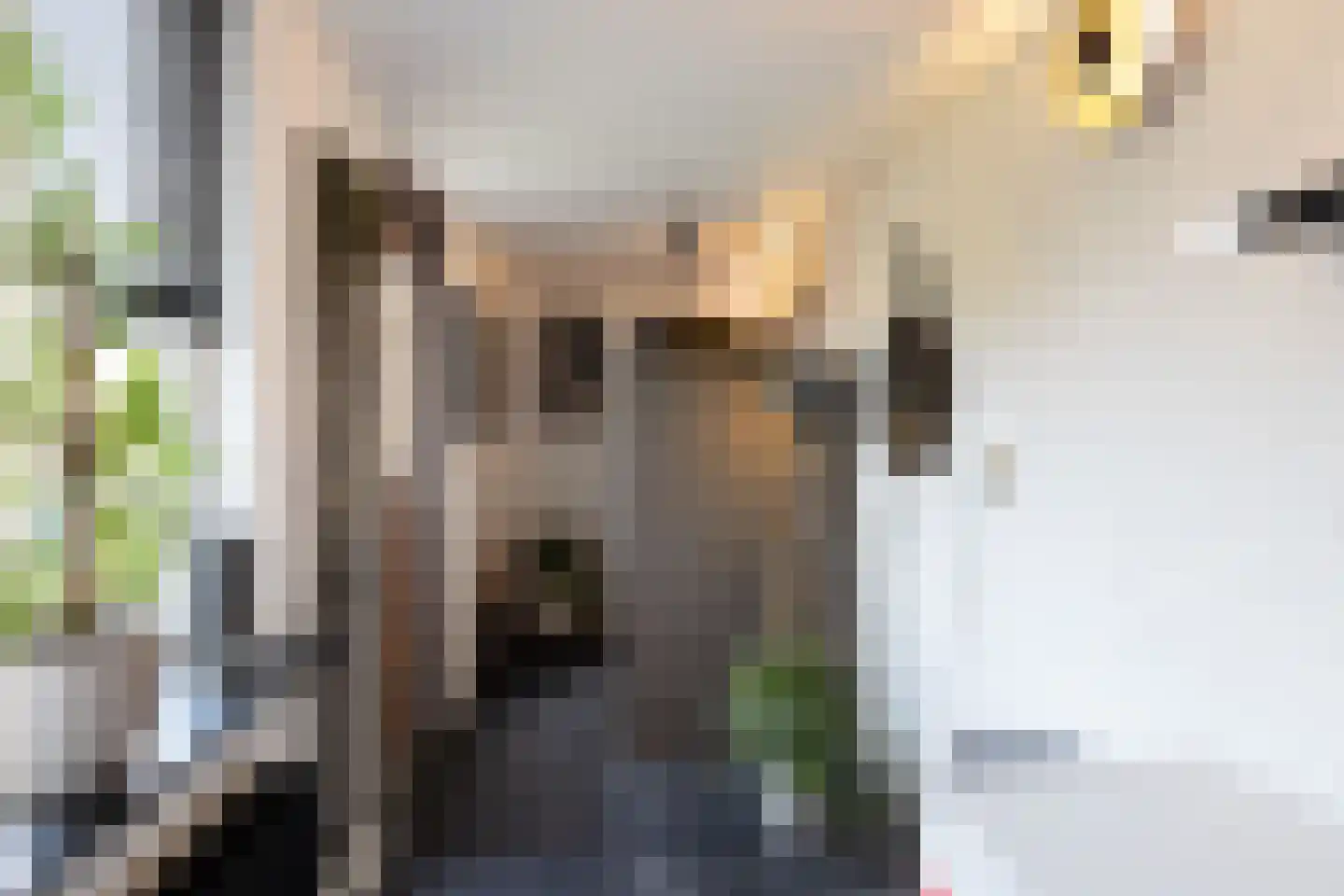 Lijsterstraat 43 Neede thumbnail 12