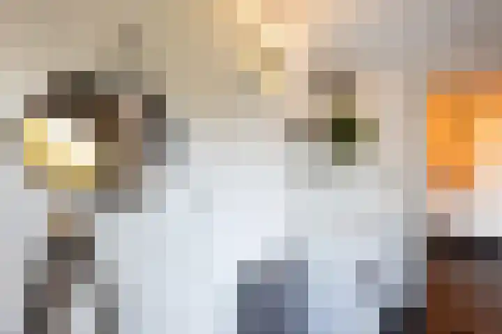 Lijsterstraat 43 Neede thumbnail 13