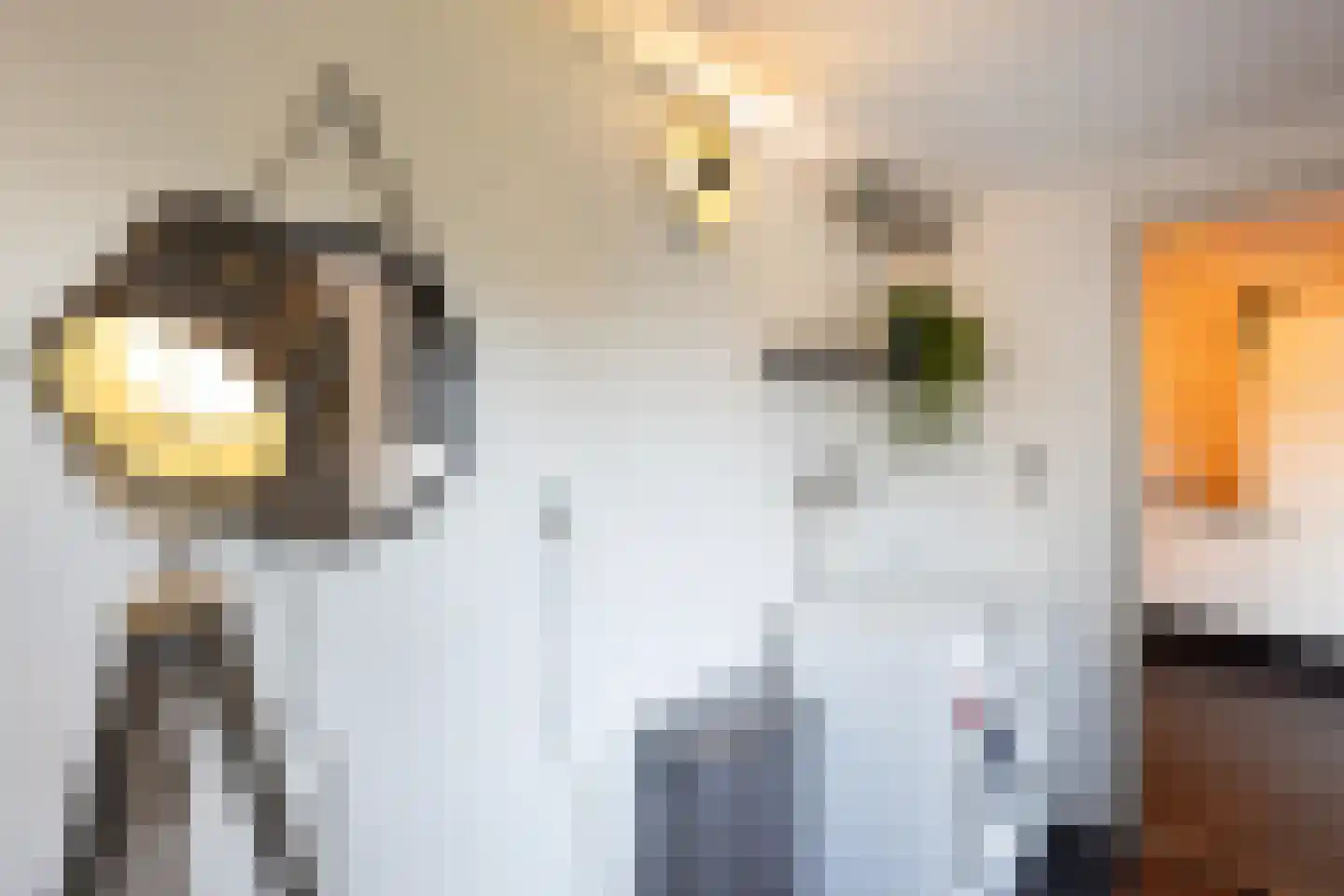 Lijsterstraat 43 Neede thumbnail 13