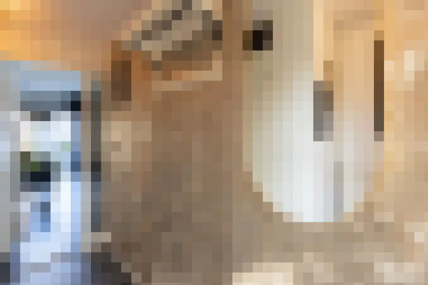 Lijsterstraat 43 Neede thumbnail 15